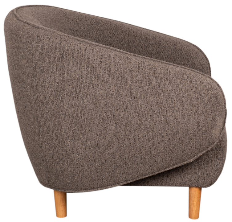 BL62025_Alezio_Lounge_Chair_Brown _1_ (1)