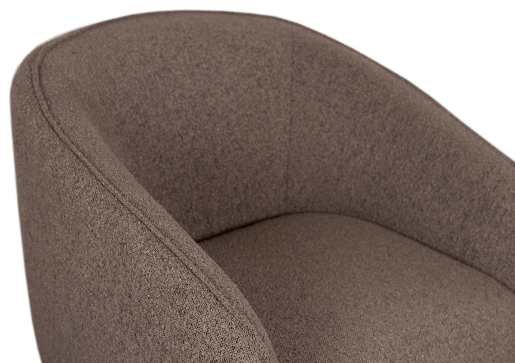 BL62025_Alezio_Lounge_Chair_Brown _4_